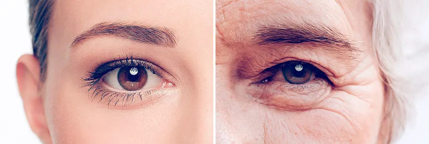 procesos-del-envejecimiento-teorias