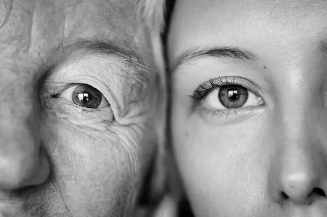 Animador Geriatrico3